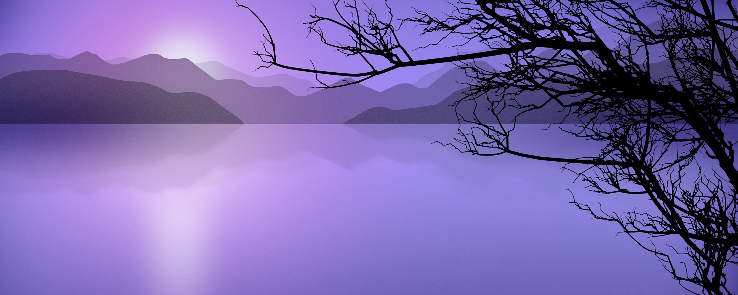 Ветка над вечерним озером обои