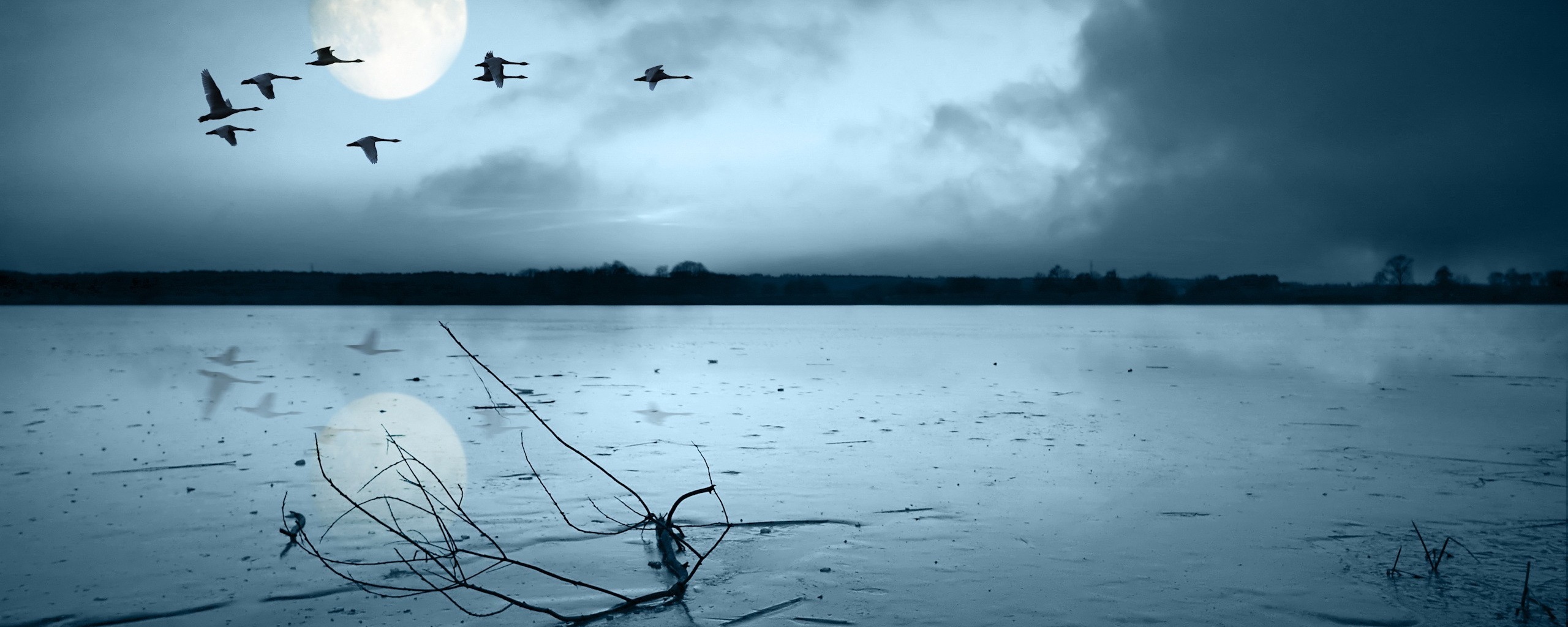 Полет птиц над озером обои