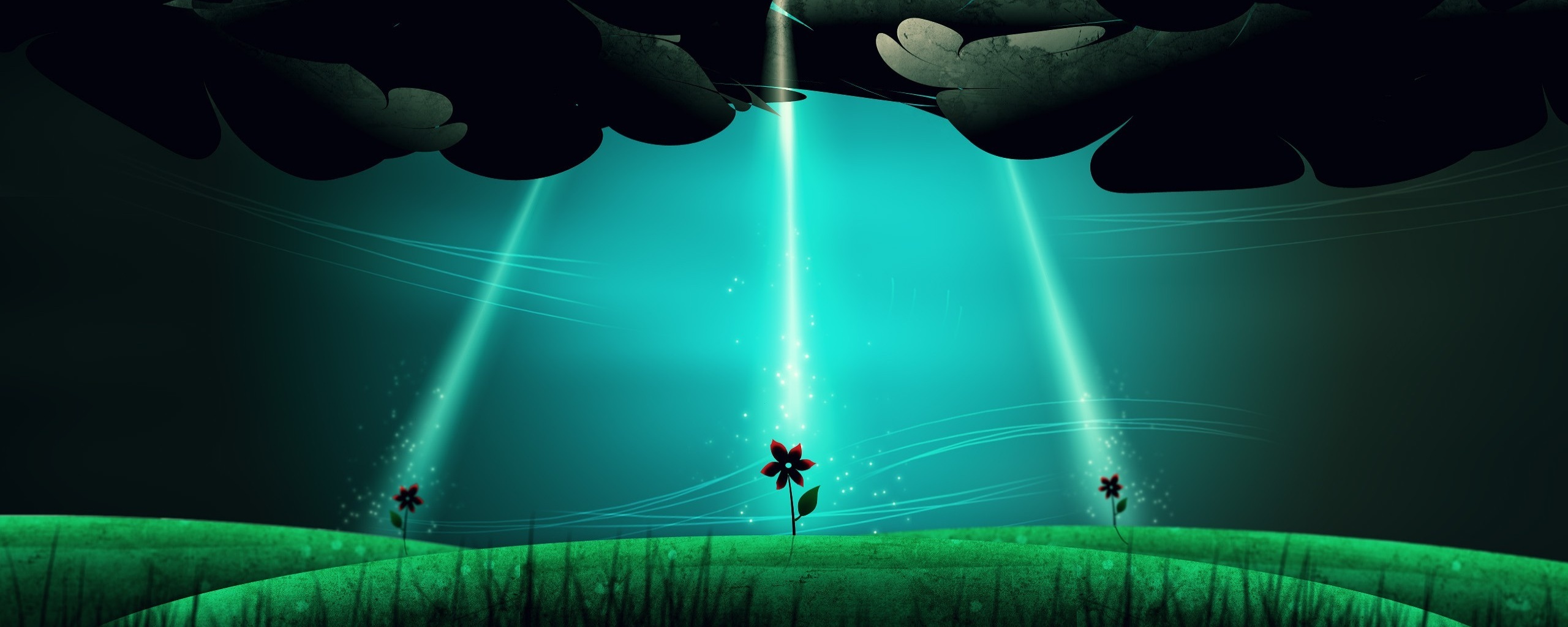 Свет для цветов обои