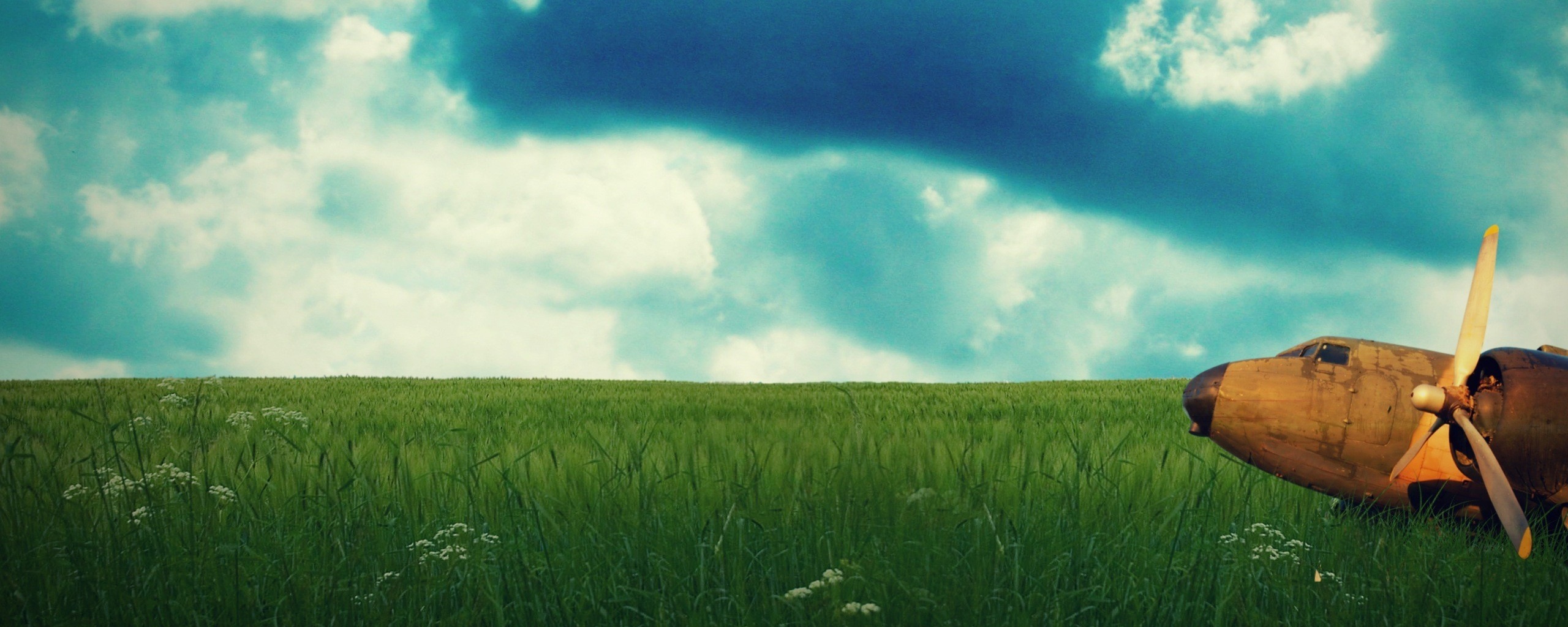 Старый ржавый самолет на лугу обои