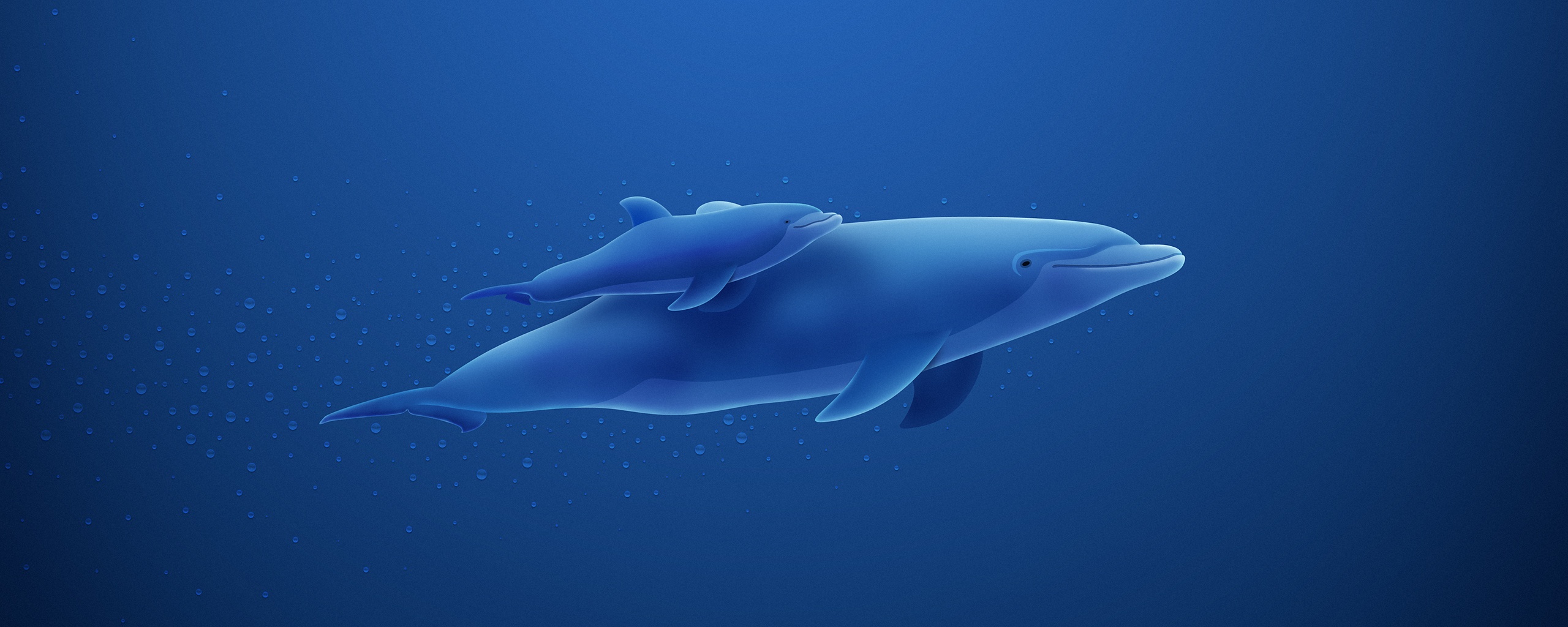 Дельфин и дельфиненок обои