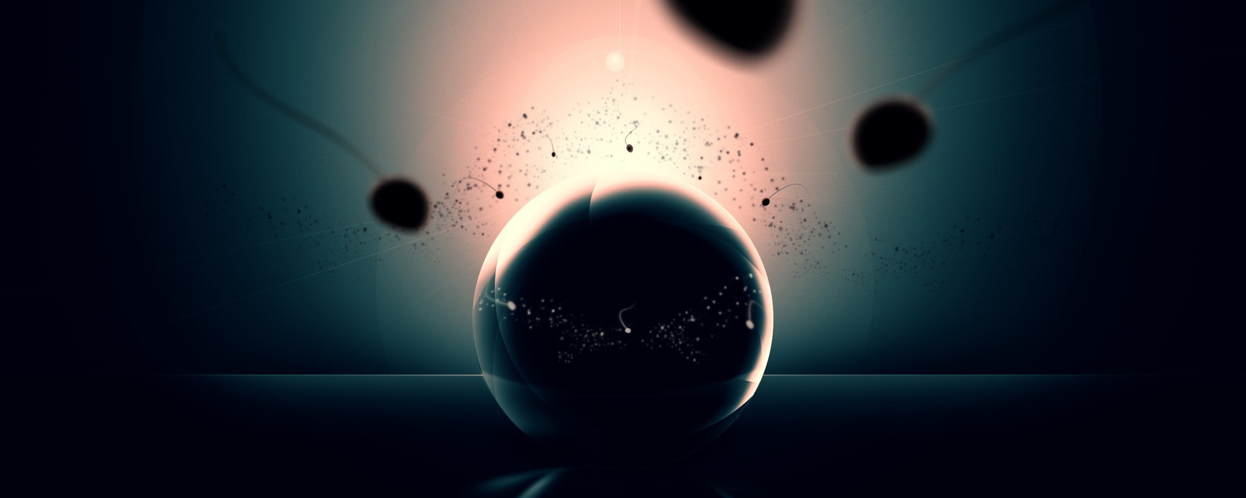 Оплодотворение обои