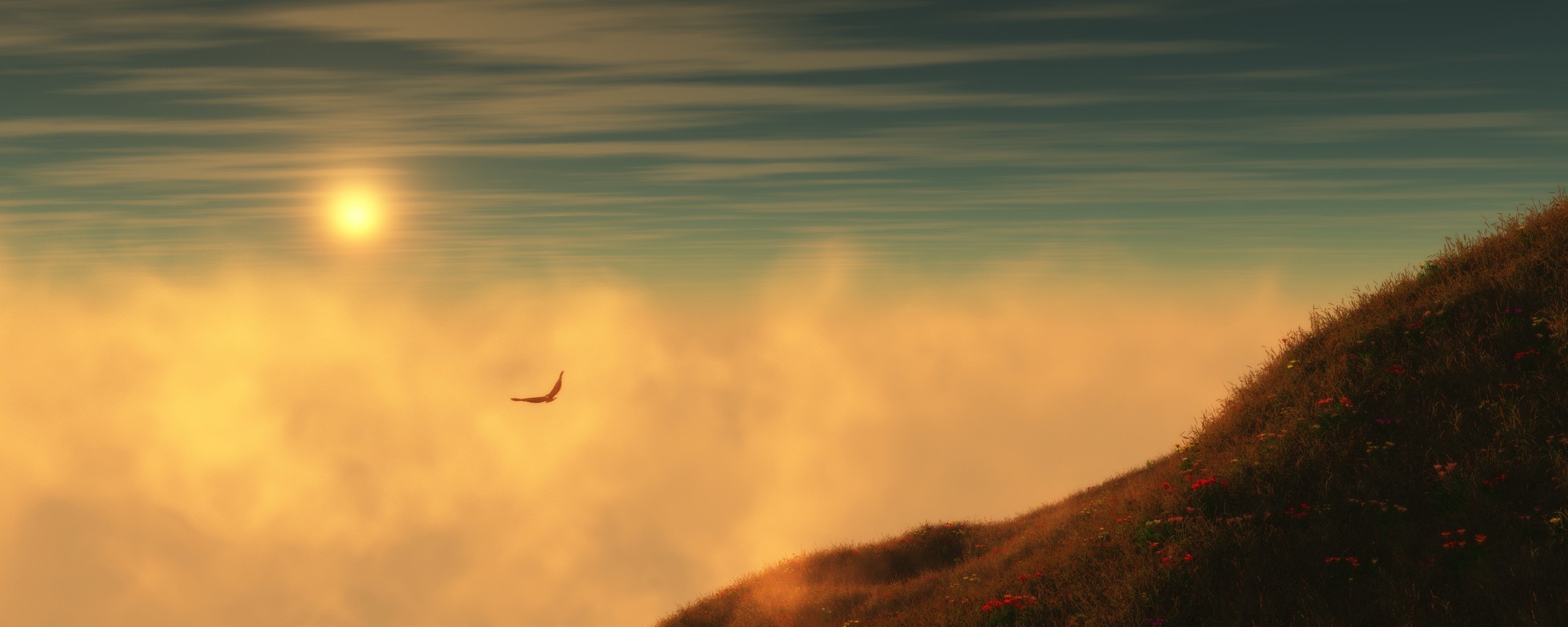 Птица парит над туманом обои