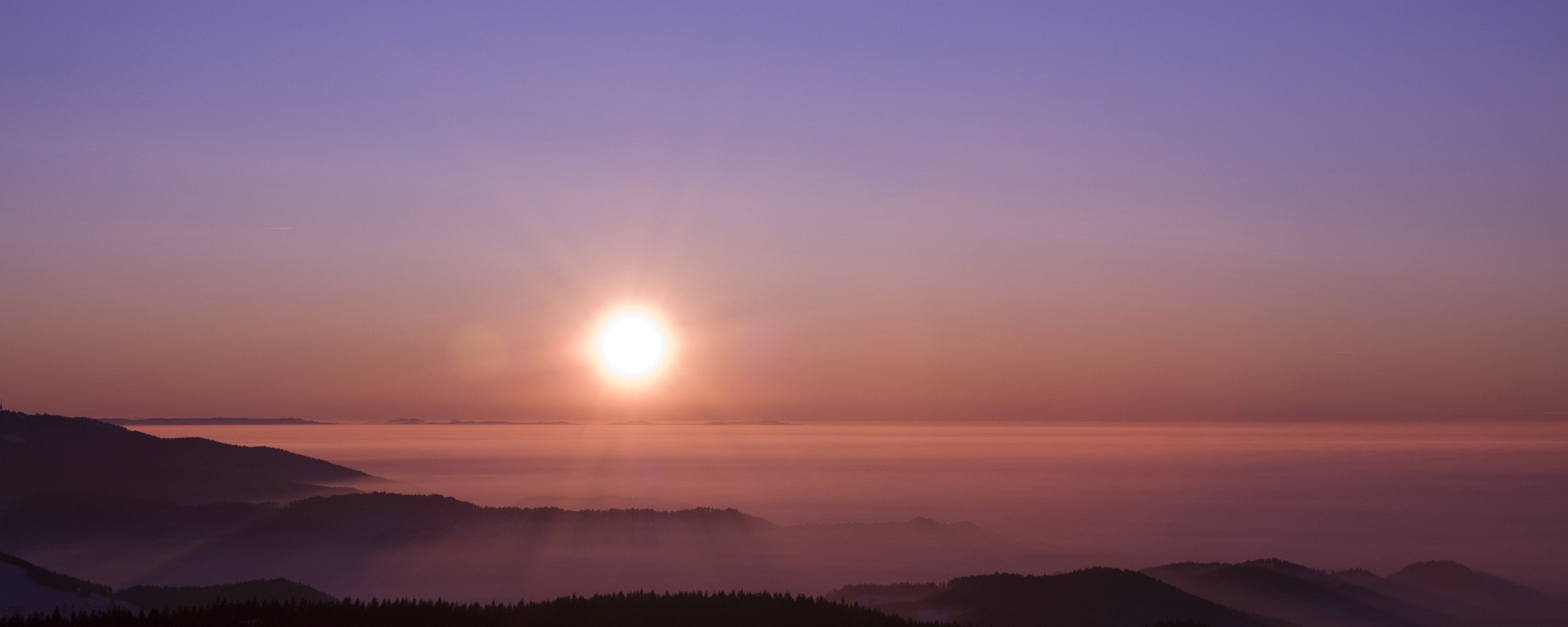 Восход солнца над лесом обои