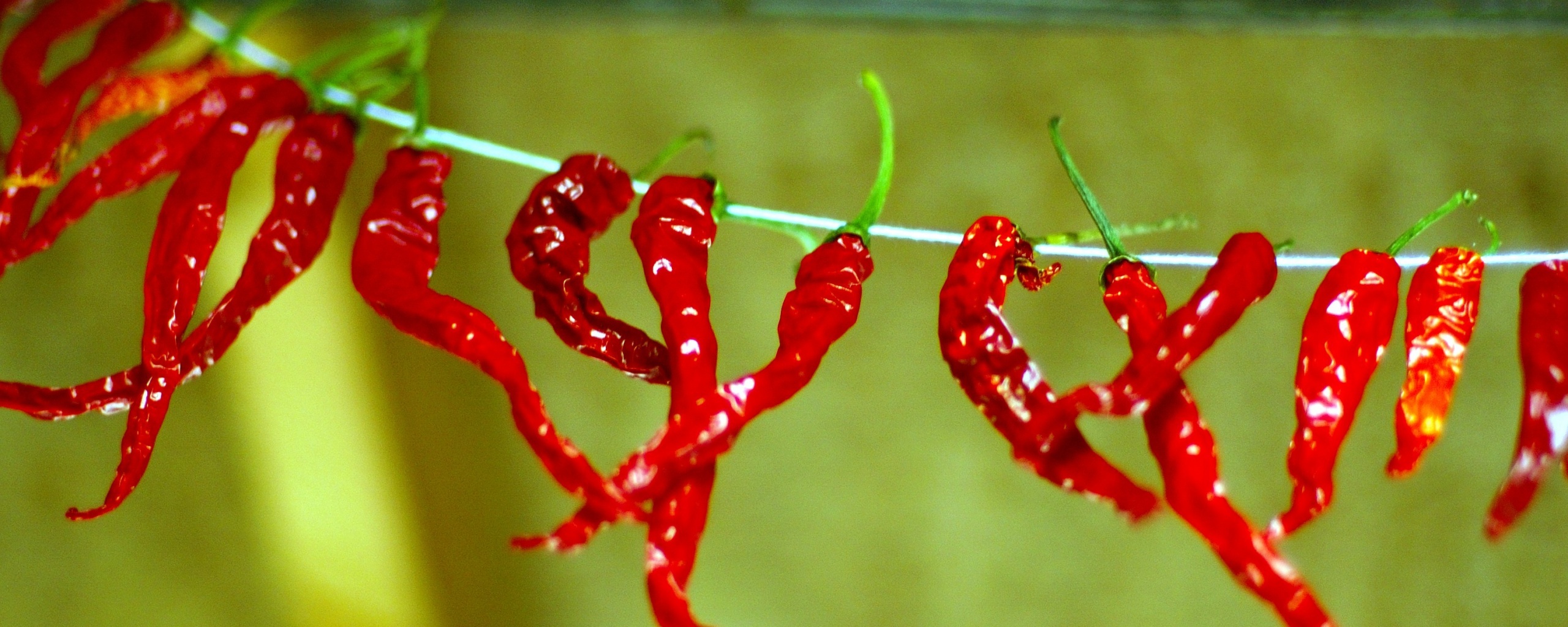 Перчики чили обои