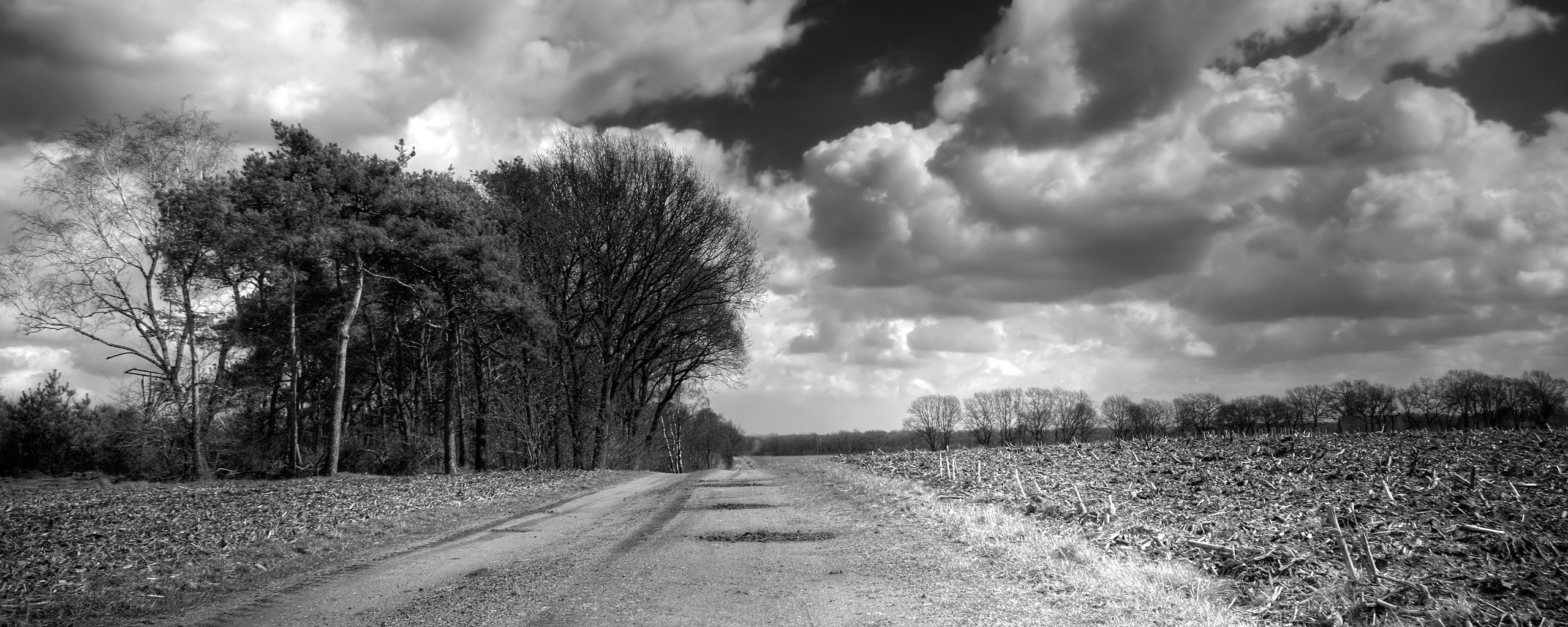 Дорога через поле обои