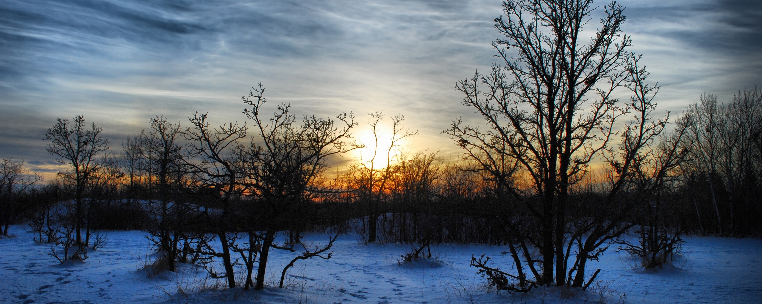 Закат в зимнем лесу обои
