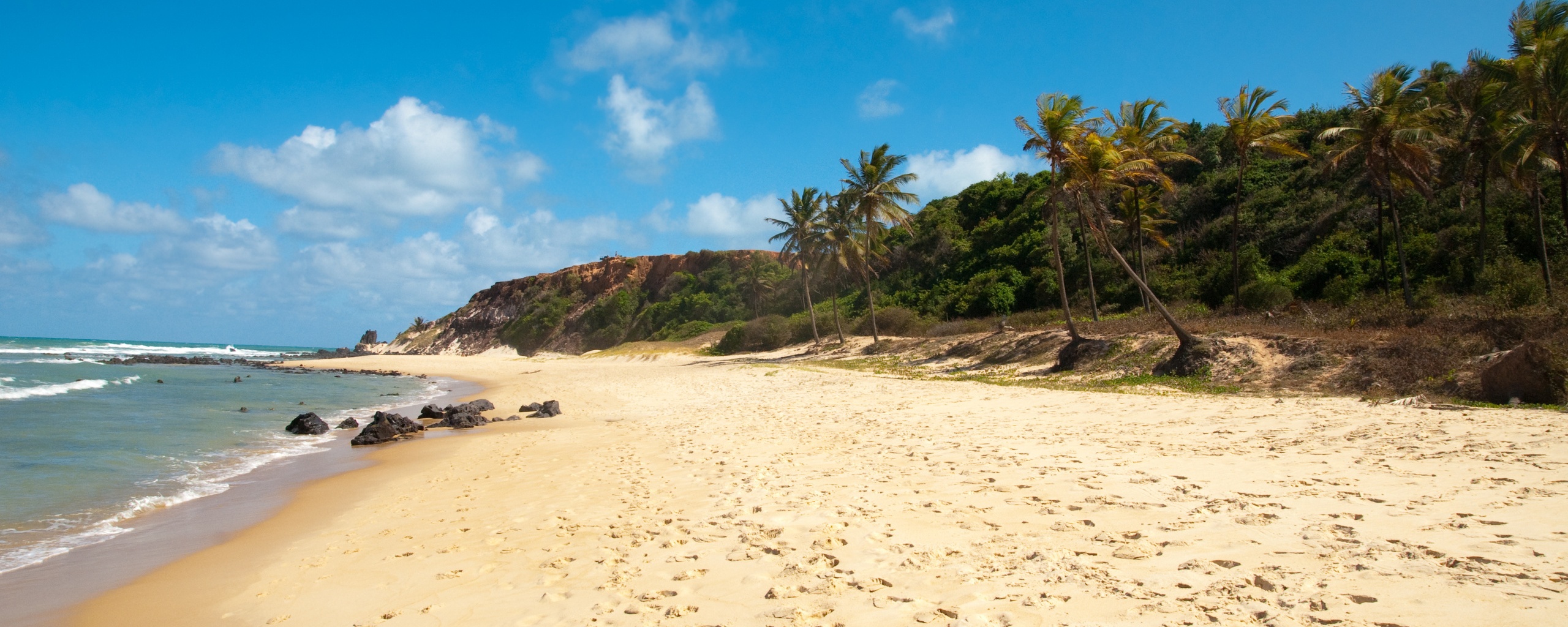 Туры в Бразилию в Лондрину обои
