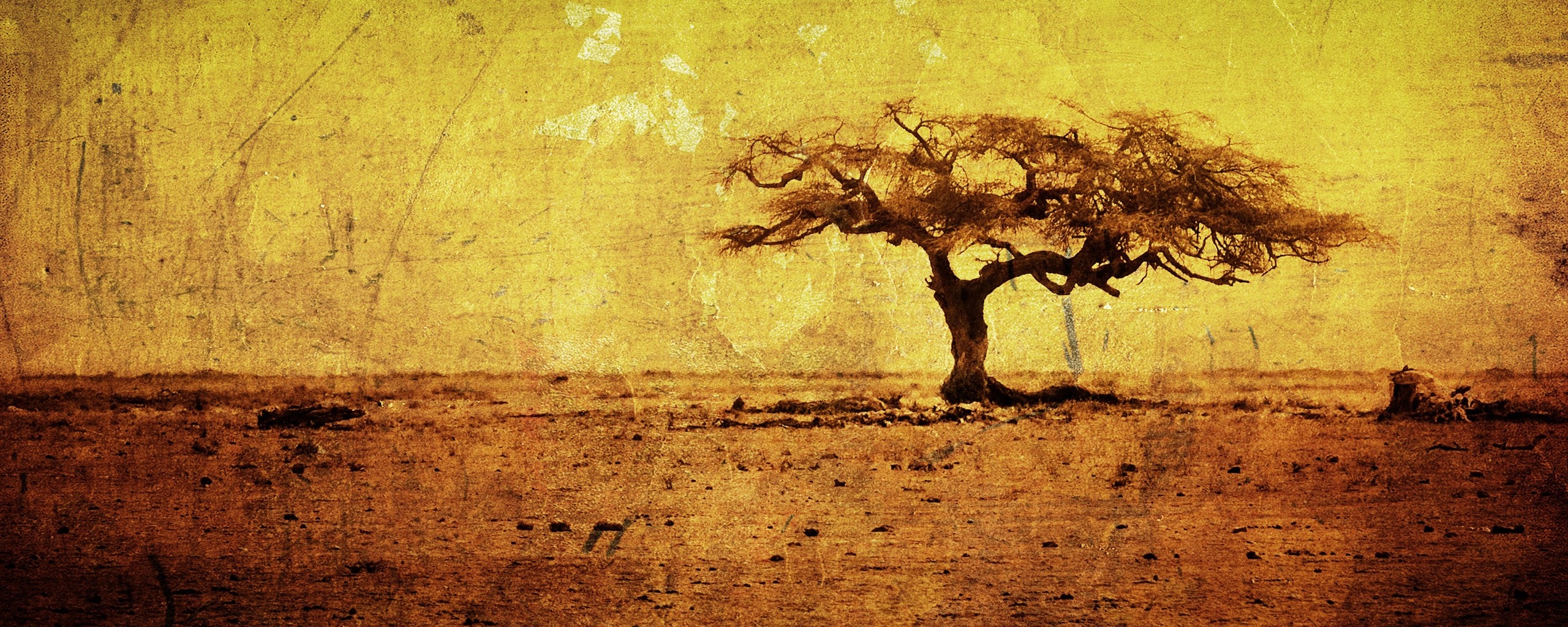 Гранжевое дерево в саванне обои