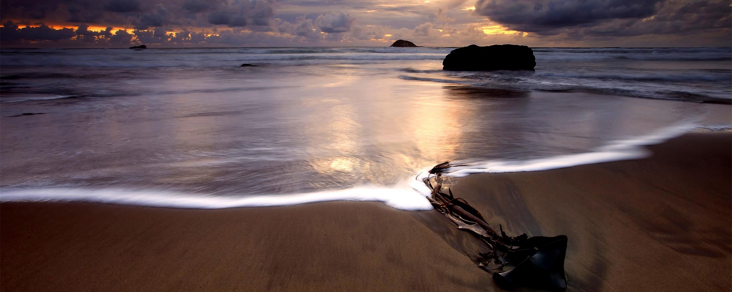 Коряга на пляже обои