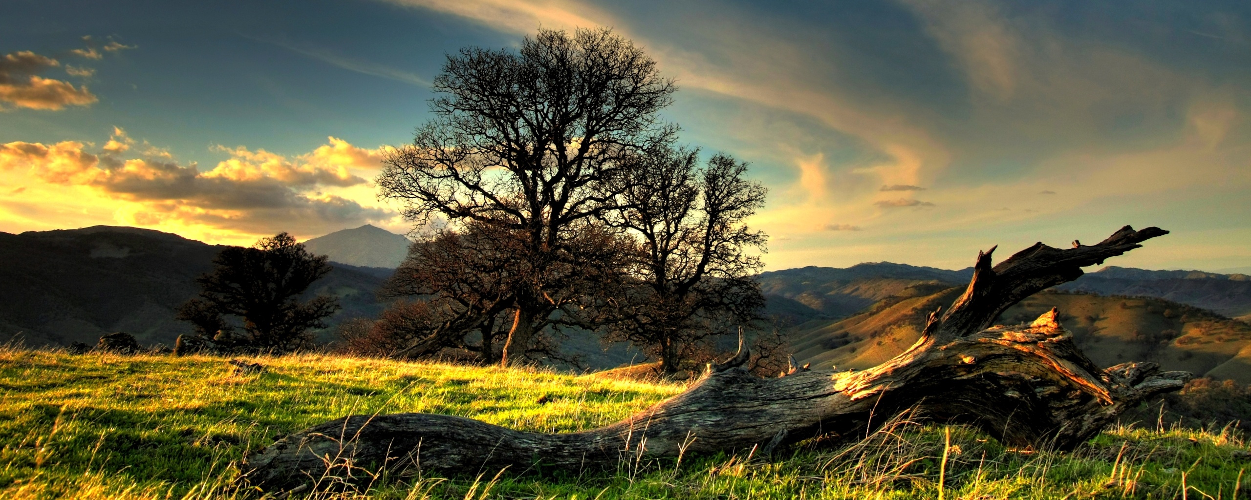 Чистая природа обои