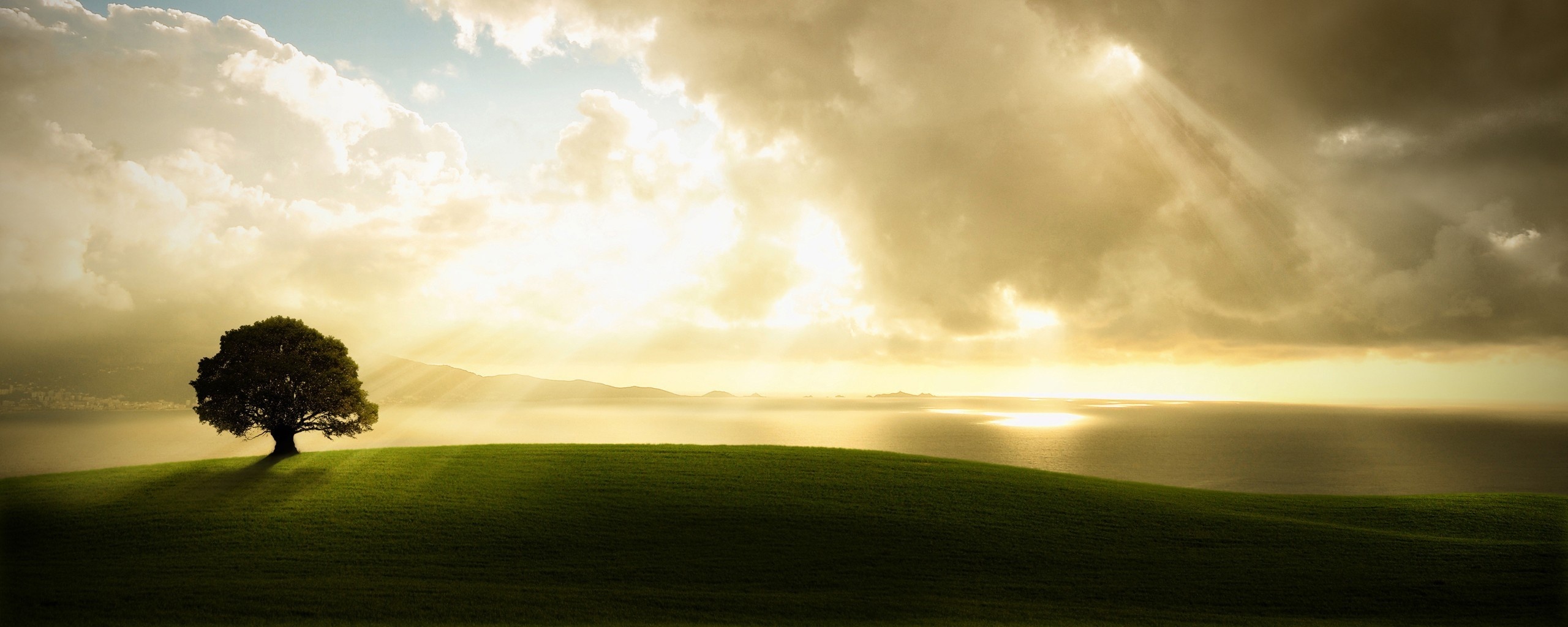 Холм и дерево обои