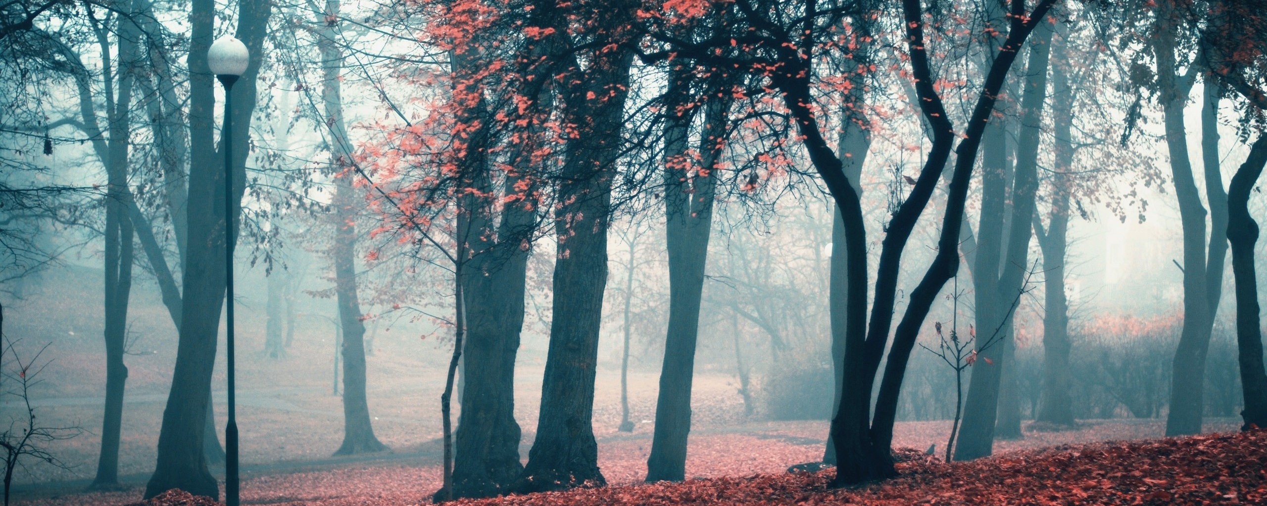 Парк красных листьев обои