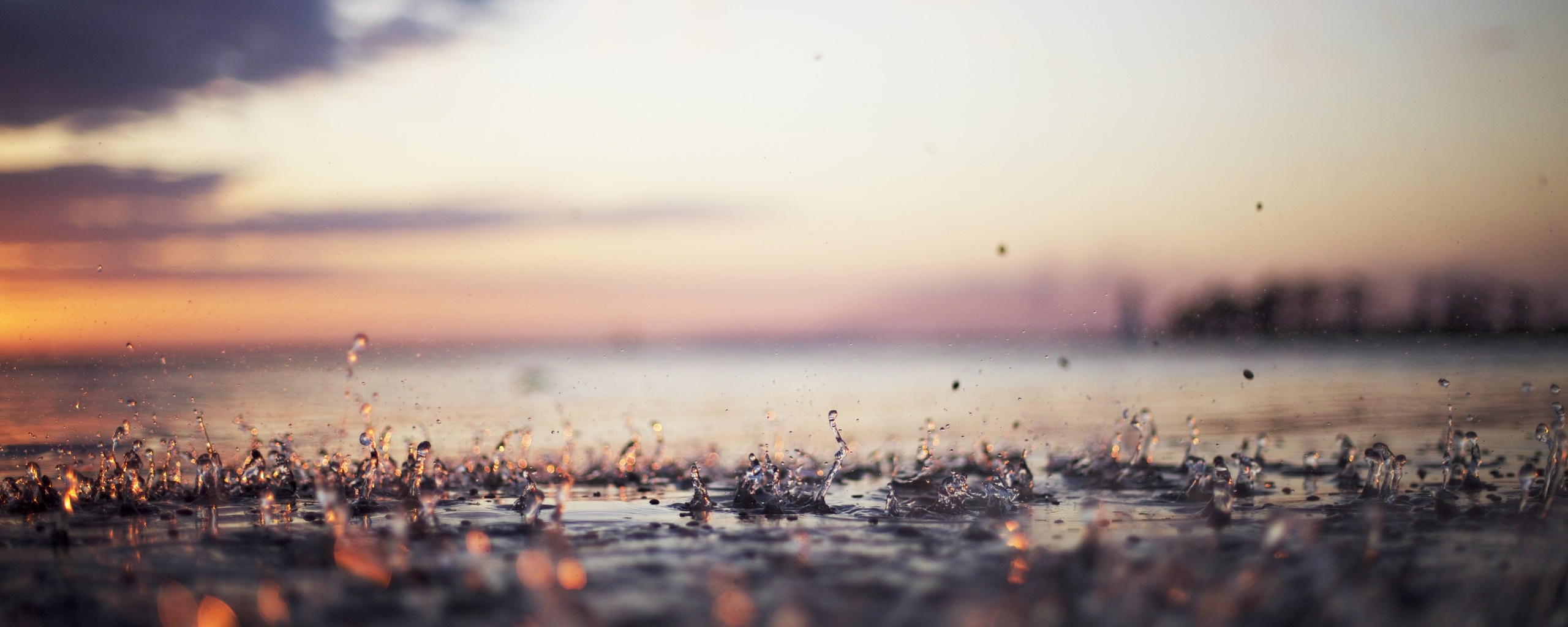 Дождь в макро обои