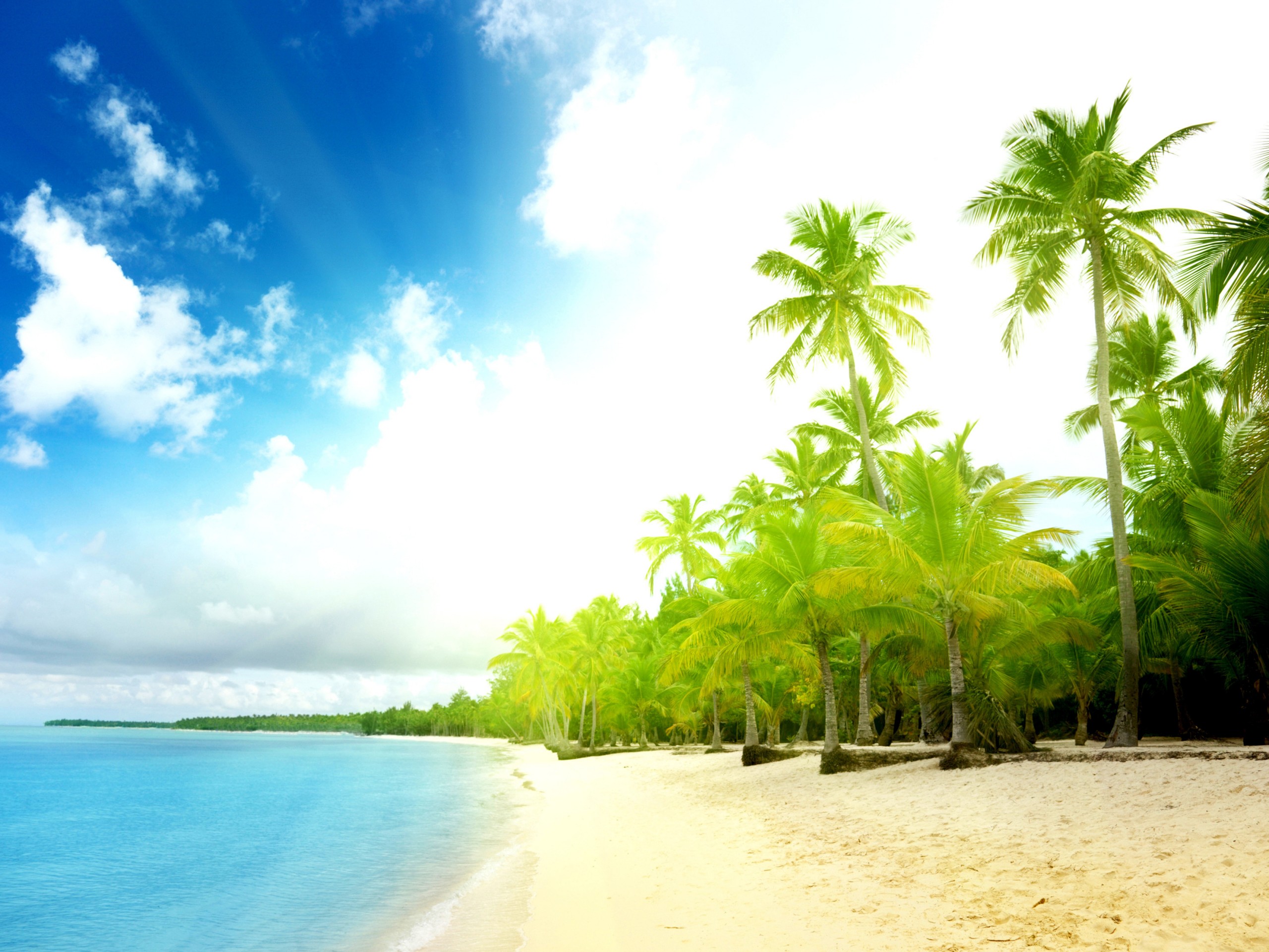 Тропическое побережье обои