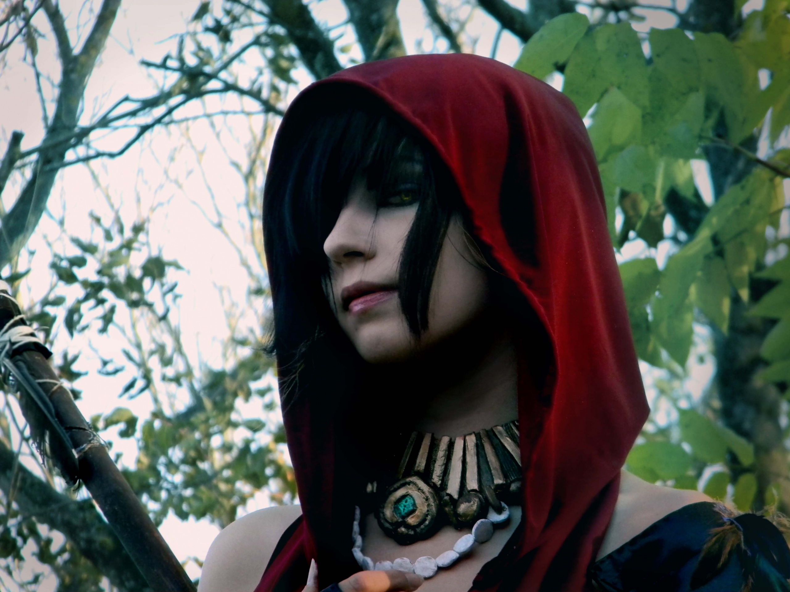 Косплей Морриган обои