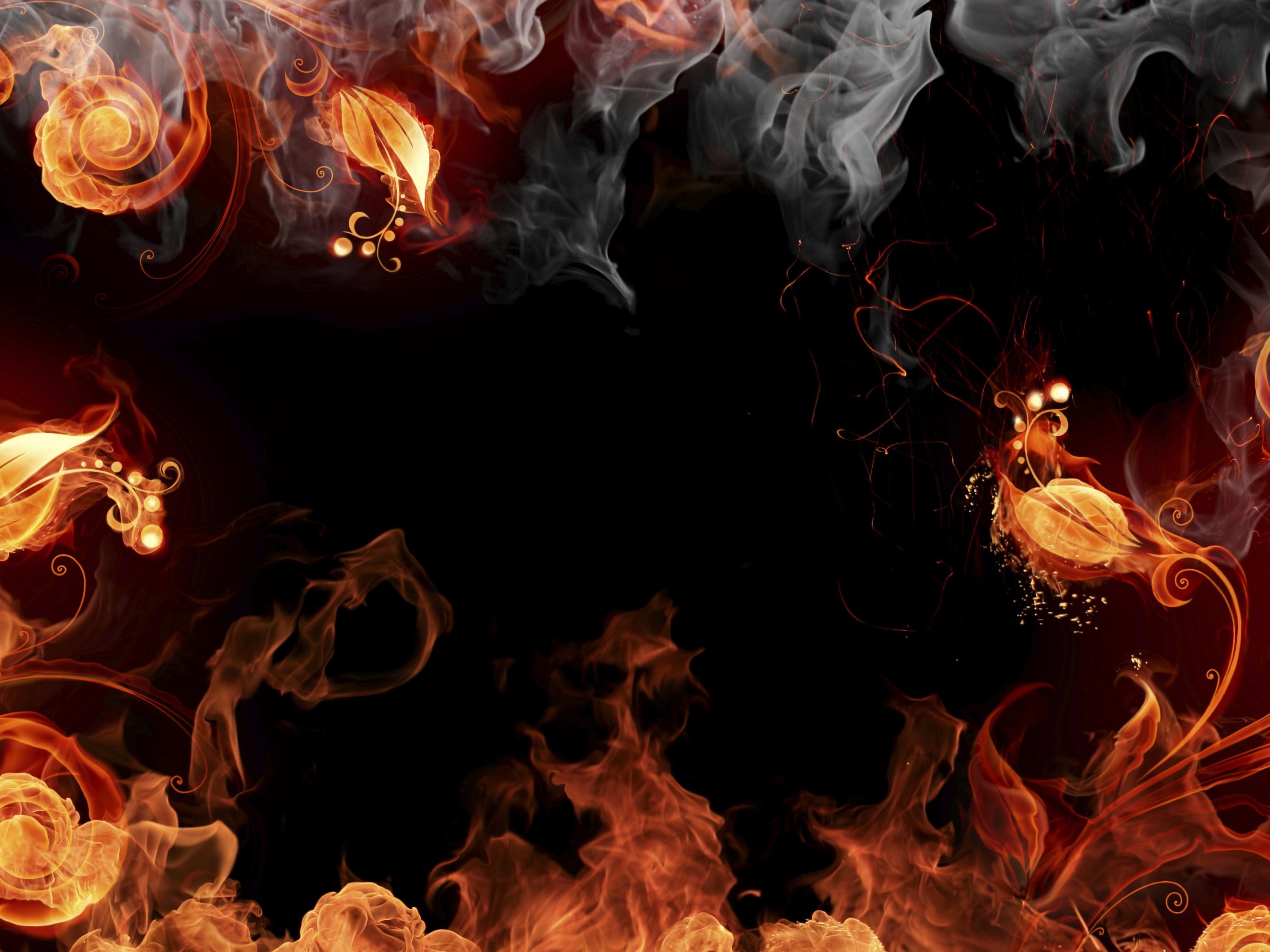 Огненные цветы обои