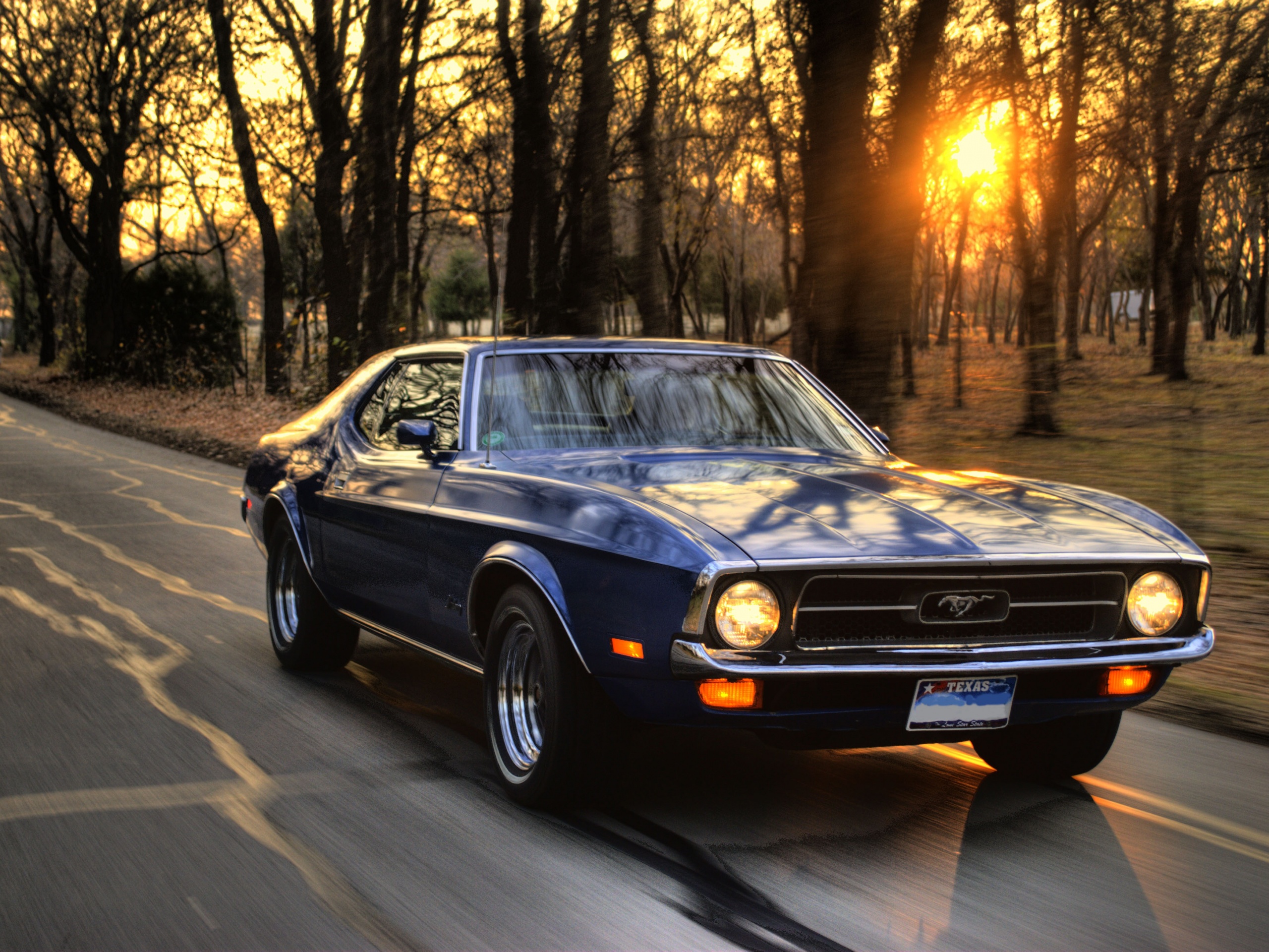 Мустанг обои