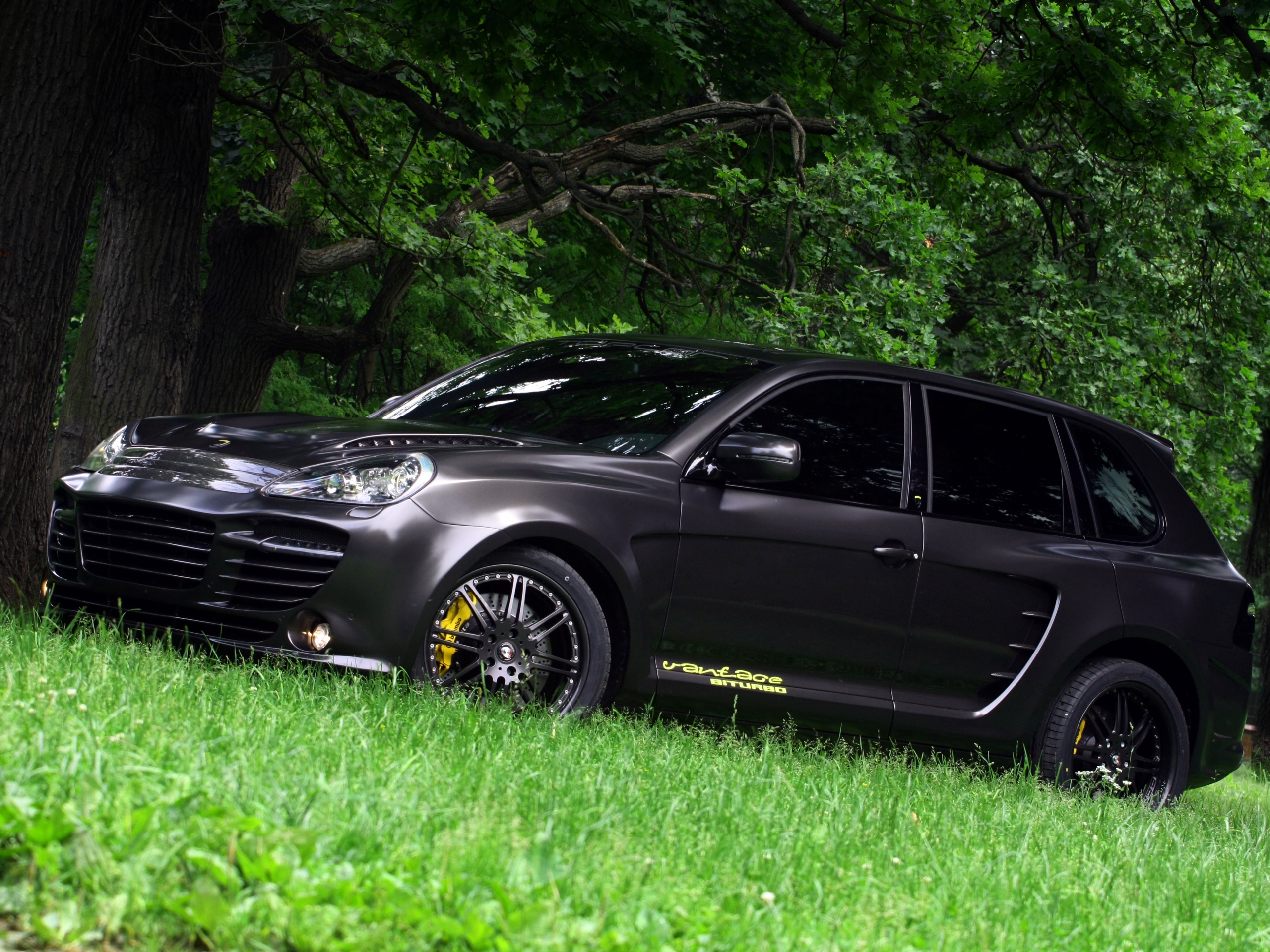 Концепт внедорожника в лесу обои