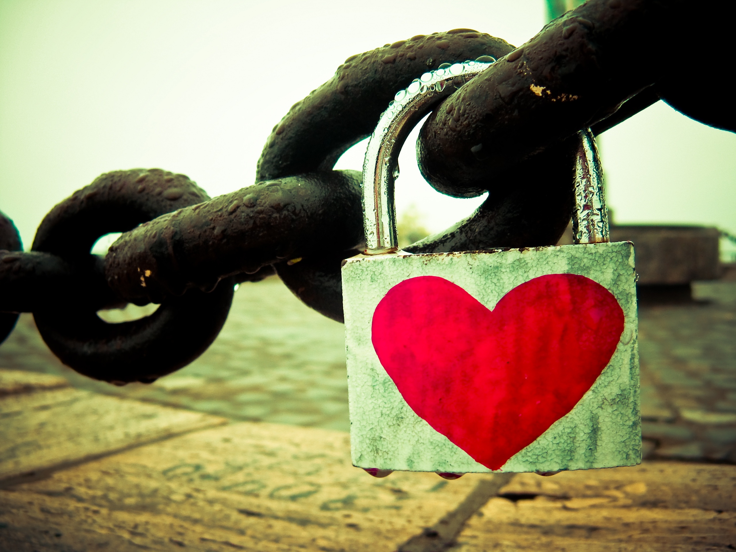 Замочек для влюбленных обои