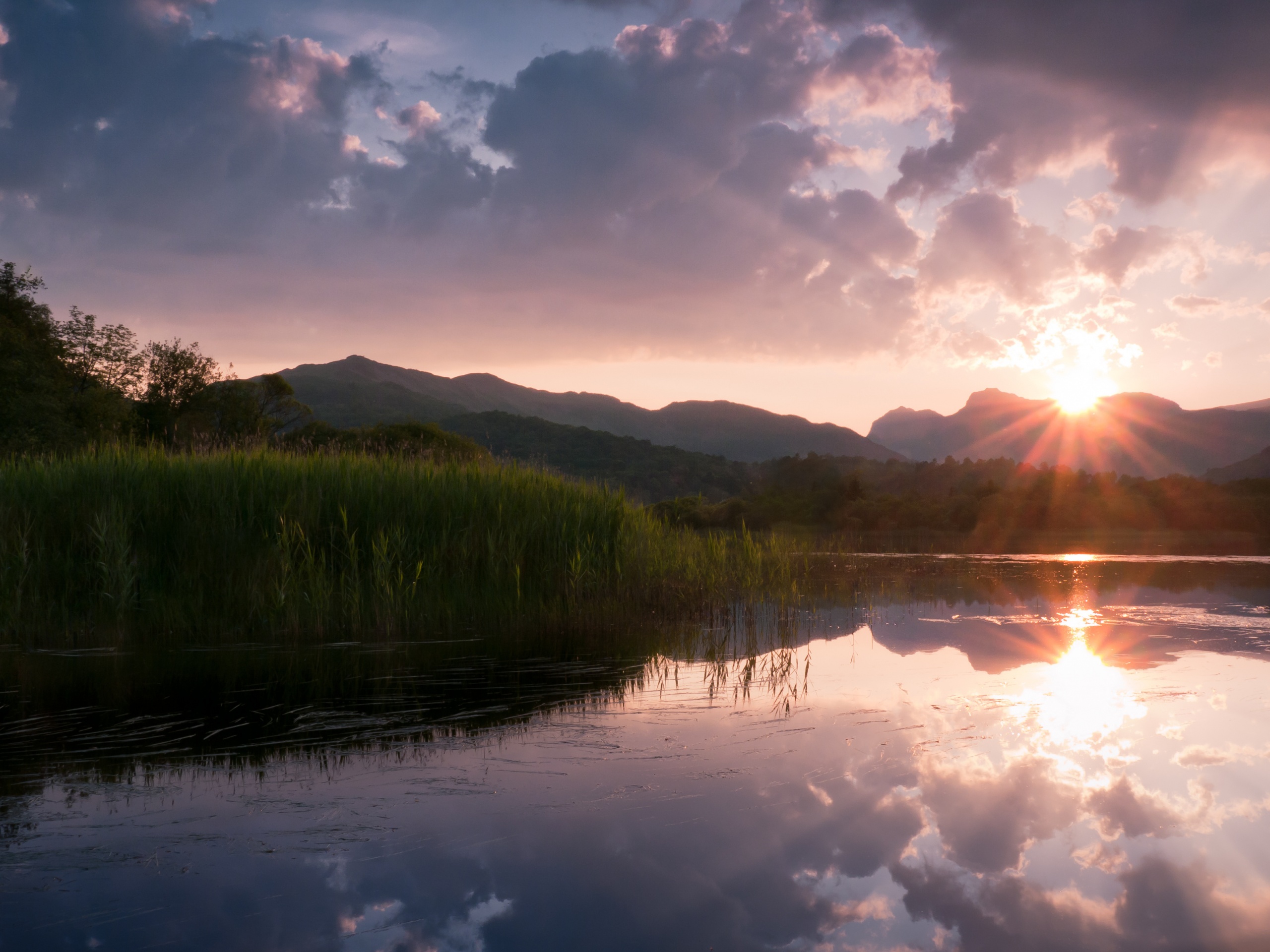 Закат за лесом обои