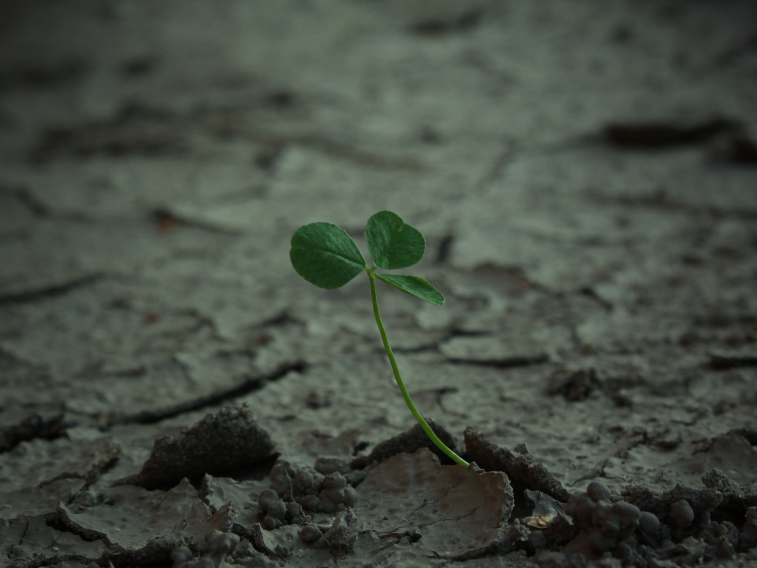 Сила природы обои