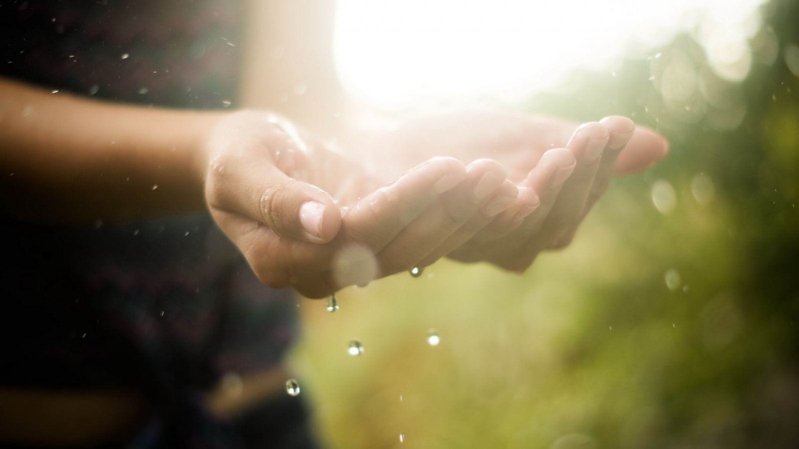 Дождь в ладонях обои
