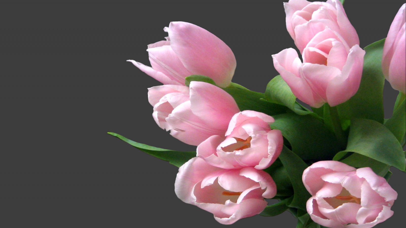 Розовый букет обои