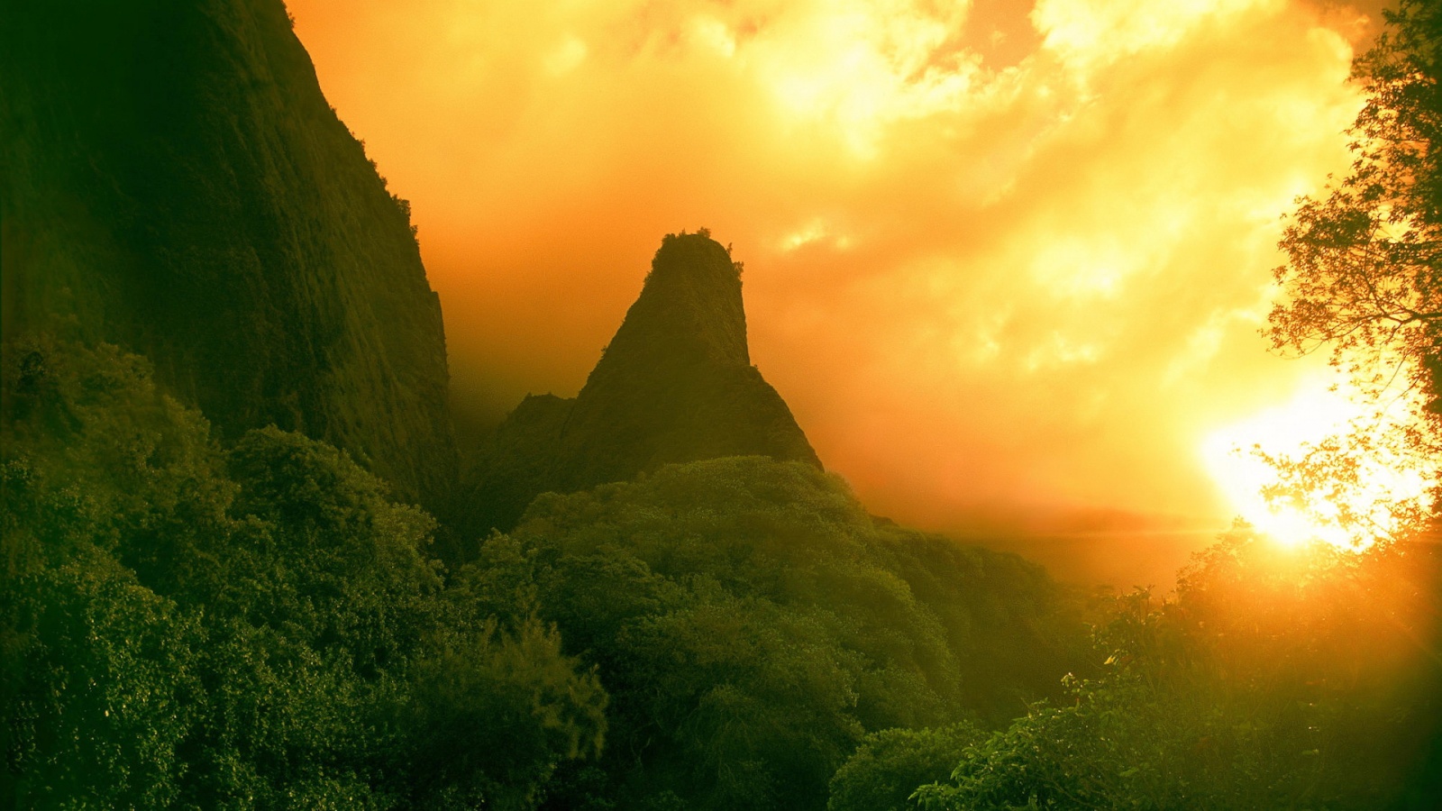 Заросшие джунглями горы обои