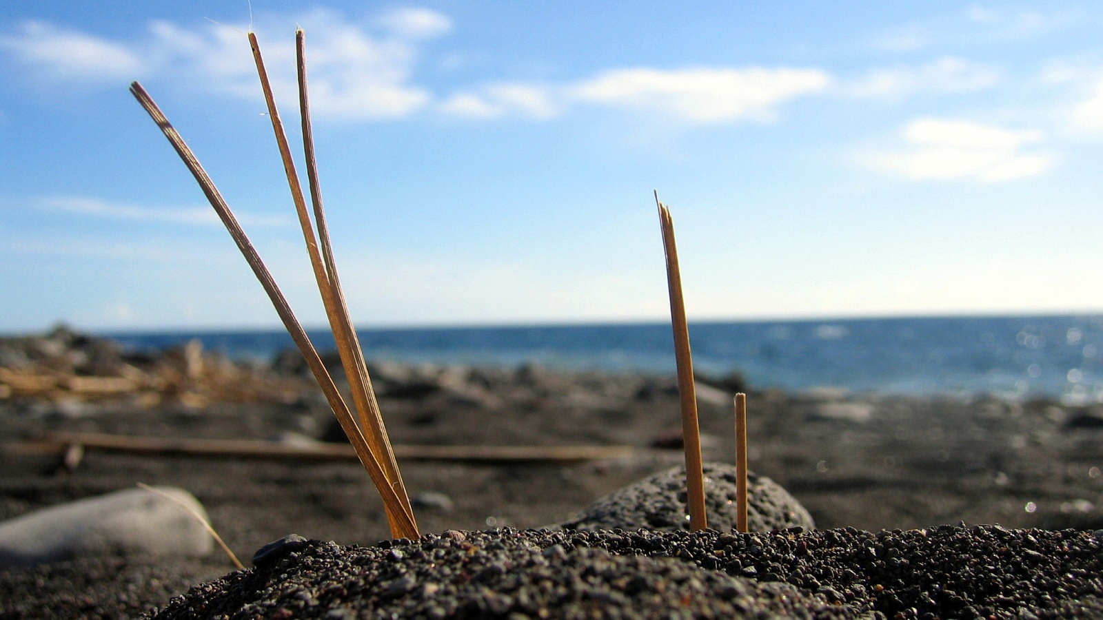 Солома на океанском берегу обои