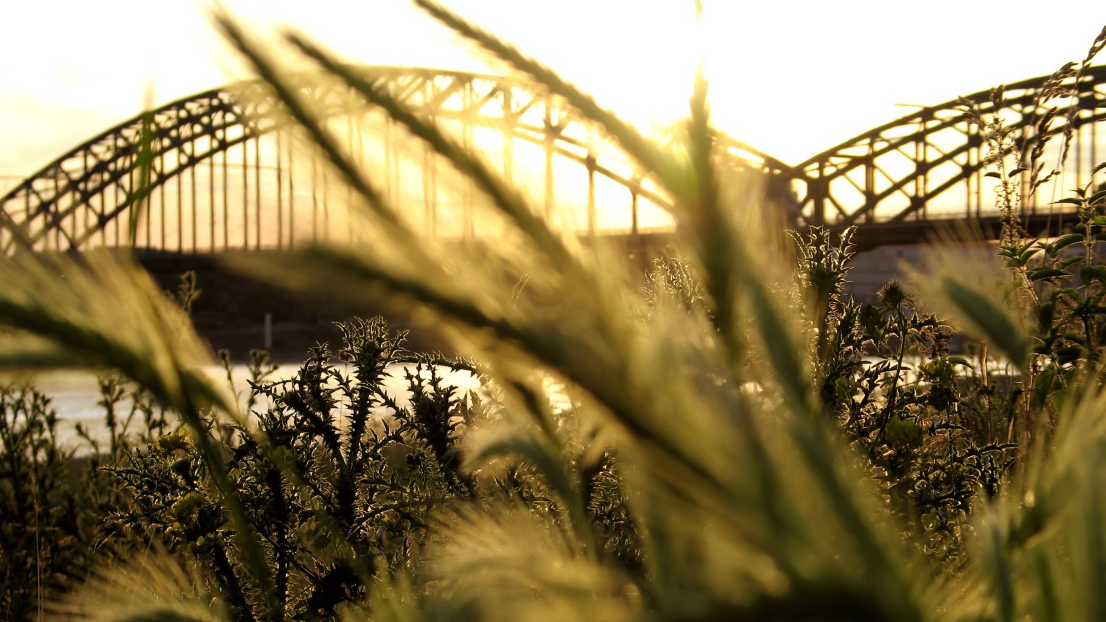 Железнодорожный мост обои