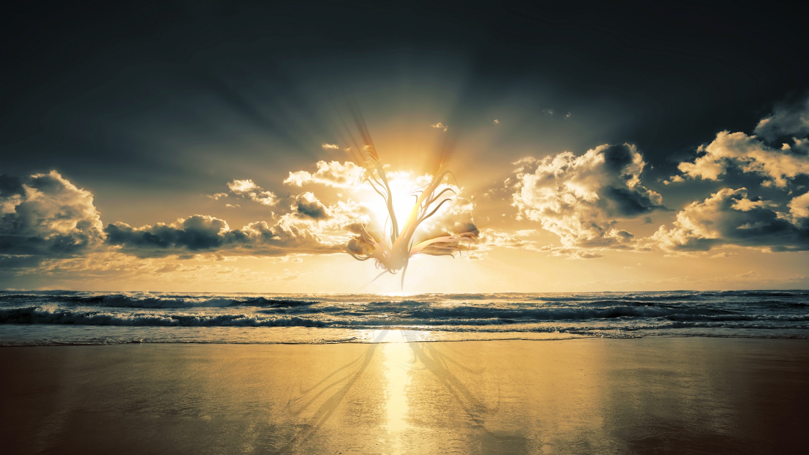 Абстрактные перья на фоне заката обои