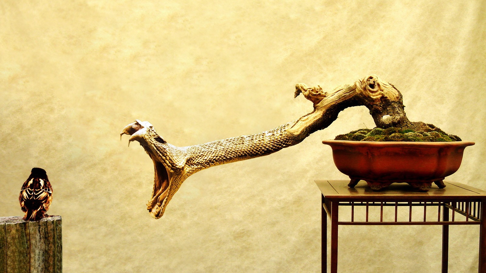 Змея-коряга напдает на птичку обои