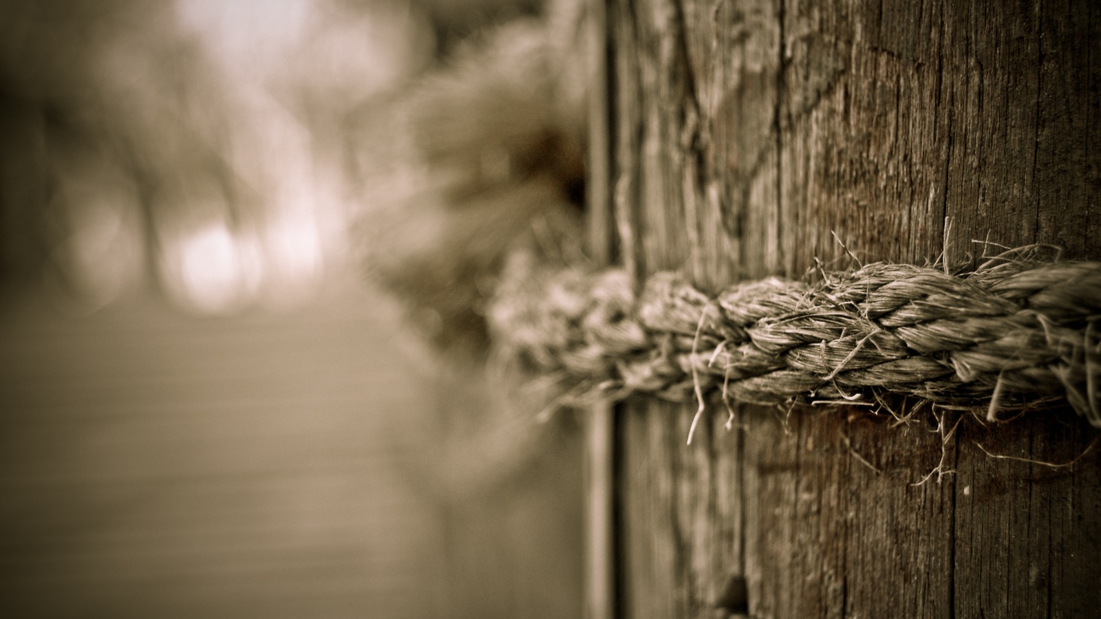 Веревка на деревянном столбе обои