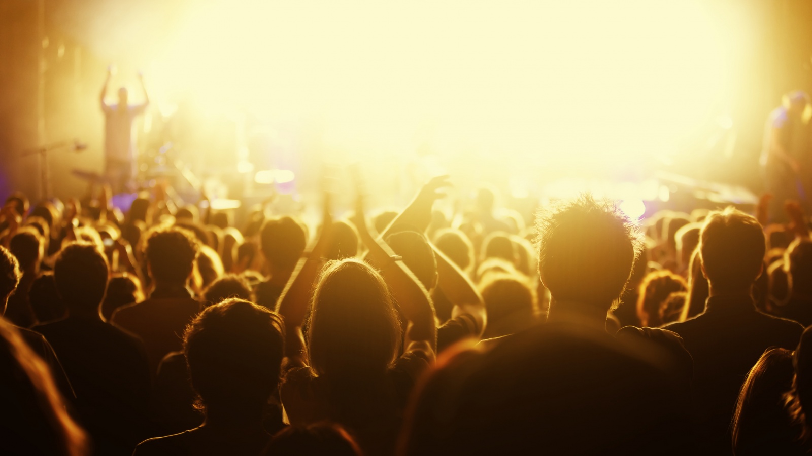 Люди на концерте обои