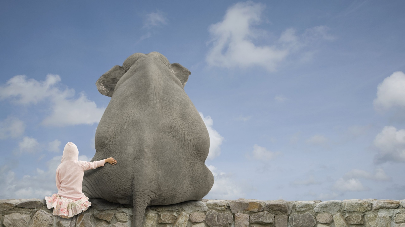 Девочка и слон обои