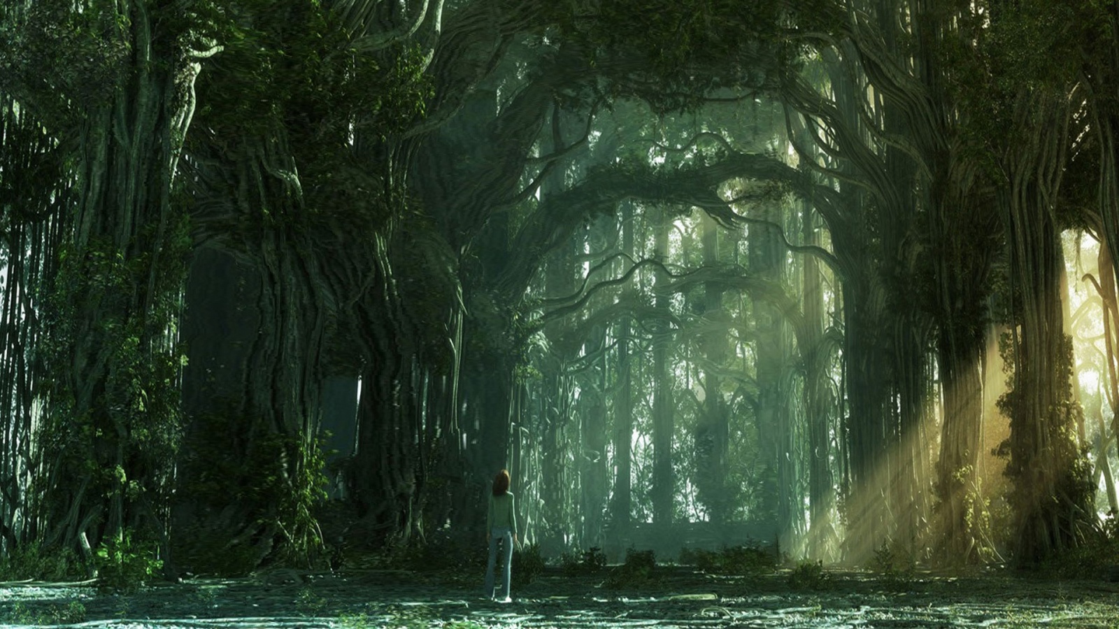 Одна в сумеречном лесу обои