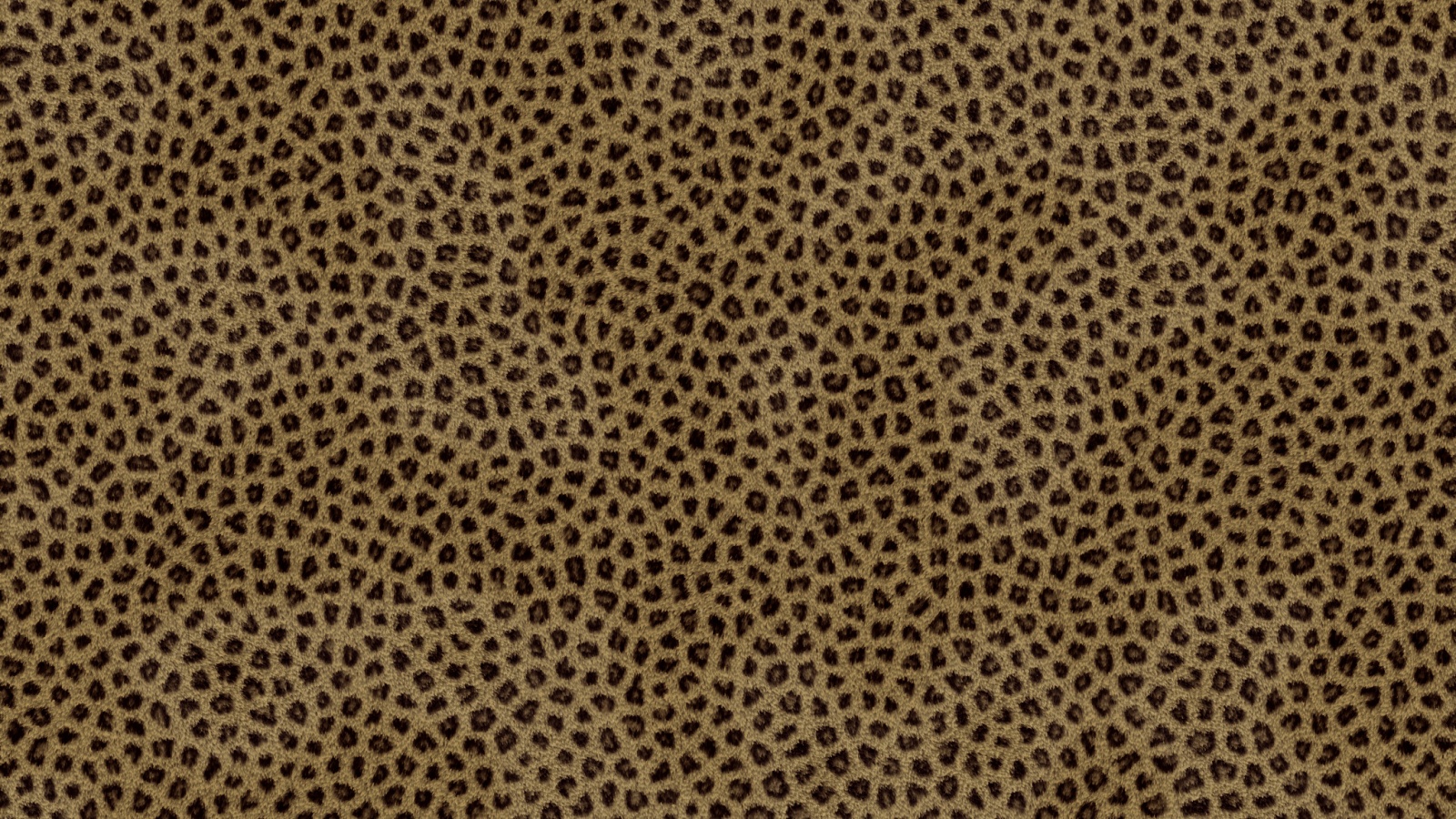 Пятнистая шкура обои