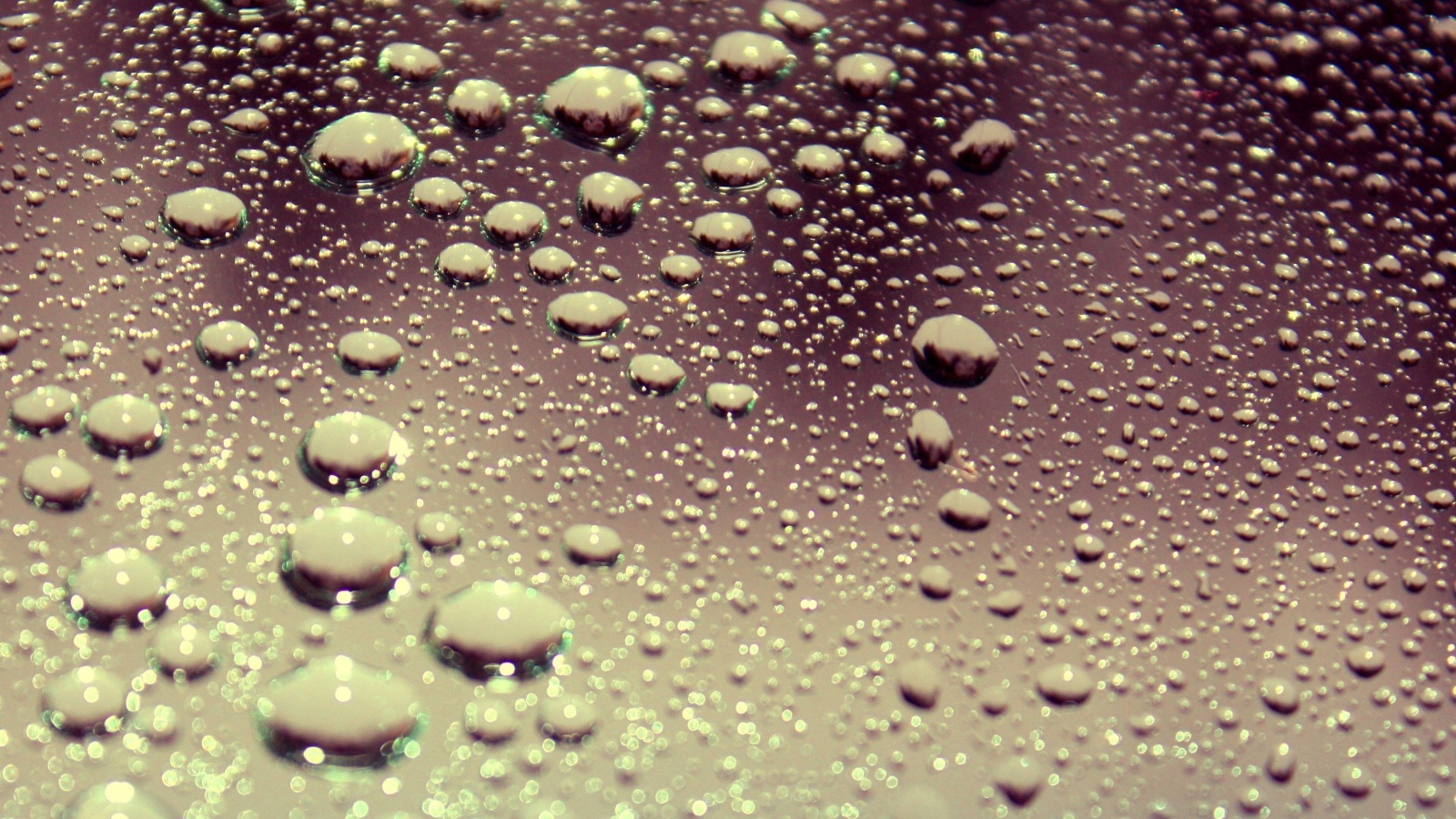 Капли воды на поверхности стекла обои