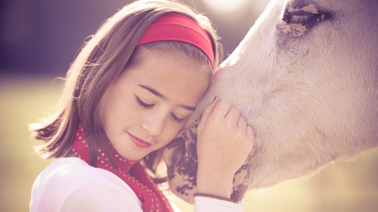 Девочка и лошадь обои