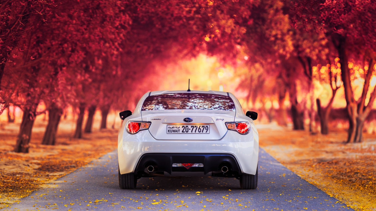 Субару на осенней дороге обои