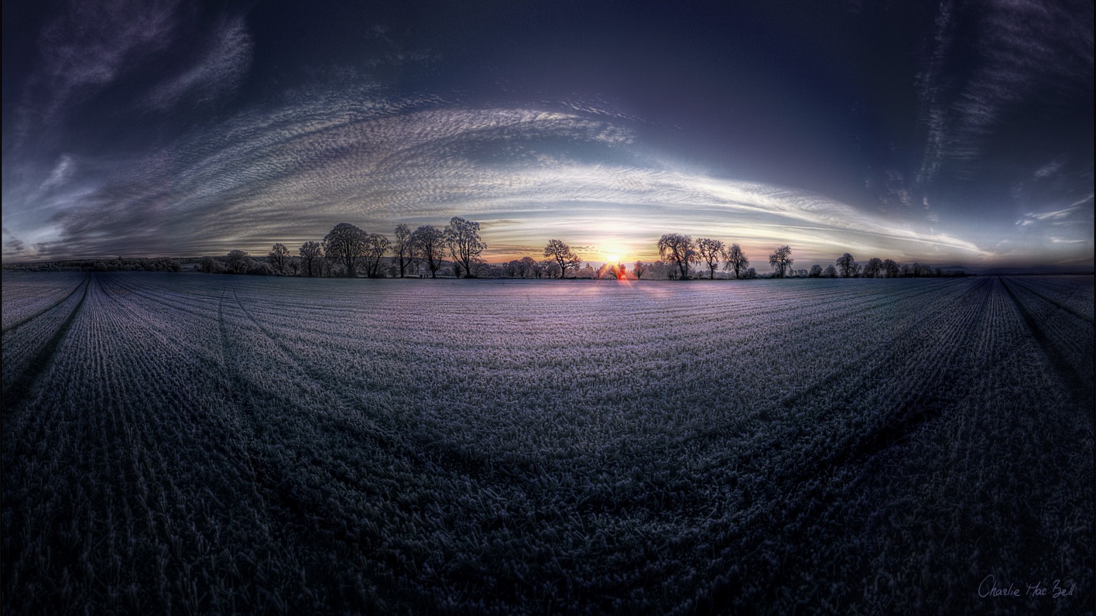 Поле широкоугольным объективом обои