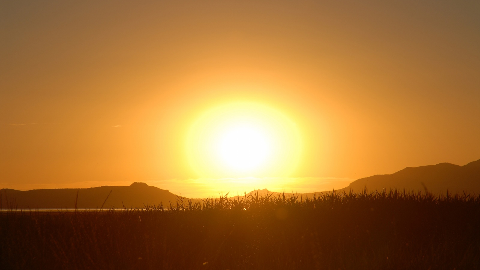 Сельский закат обои