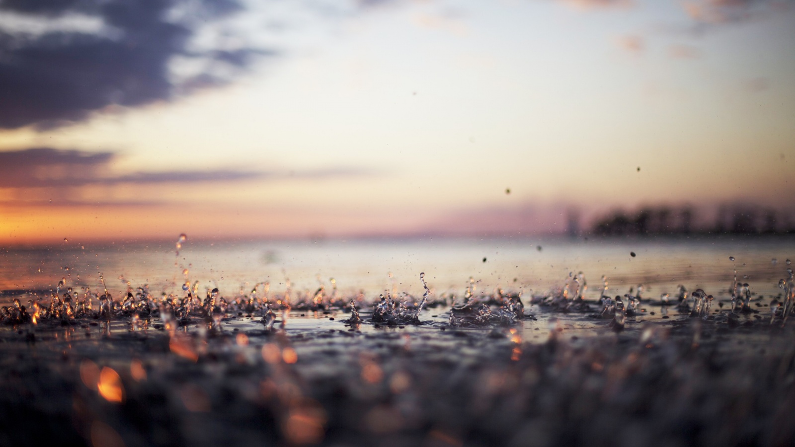 Дождь в макро обои